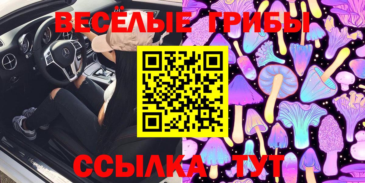 Галлюциногенные грибы Psilocybe  Вход с VPN  Артём 